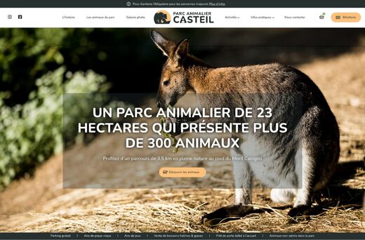 Un kangourou debout, symbole d'agilité et de présence efficace sur son territoire naturel.